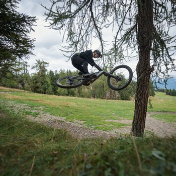 Ein Mountainbiker springt quer durch die Luft neben einem Baum auf einem offenen Waldtrail mit Aussicht ins Tal. | © Cube Bikes